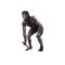 Australopithecus