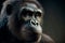 Australopithecus afarensis is an extinct species of an early human.