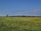 Austria, Agricultural landscape, Sunflower Field