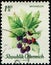 AUSTRIA - CIRCA 1966: stamp 1.80 Schilling printed by Austrian Republic, shows fruit plant Blackberry (Rubus ursinus)