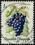 AUSTRIA - CIRCA 1966: stamp 1 Schilling printed by Austrian Republic, shows fruiting plant Grape vine (Vitis vinifera)