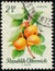 AUSTRIA - CIRCA 1966: stamp 2.20 Schilling printed by Austrian Republic, shows fruiting plant Apricot (Prunus armeniaca)
