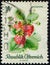 AUSTRIA - CIRCA 1966: stamp printed by Austrian Republic, shows fruiting plant Strawberry (Fragaria ananassa)