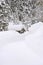 Austria, Salzburger Land, Log cabin in snow covered landscape
