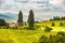 Austria, Slovenia Vineyards Sulztal area south Styria , wine country path to heart shaped street tourist spot