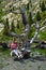 Austria, Tirol, woman on swing