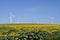 Austria, Wind Turbine in sun flower field