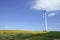 Austria, Wind Turbine in sun flower field