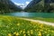 Austrian alpine landscape with blooming meadows in the springtime. Austria, Tyrol, Stillup Lake