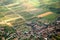 Austrian cultivated land seen from a plane