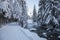 Austrian forest tirol with ski-woman