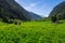 Austrian landscape with meadows and mountains in the springtime. Austria, Tirol, Zillertal, Stillup