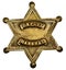 Authentic Deputy Marshall Badge