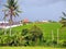 Authentic green rice field in Canggu in Bali on an overcast day