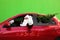 Authentic Santa Claus with fir tree driving car against background