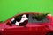 Authentic Santa Claus with fir tree driving car against background