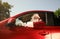 Authentic Santa Claus  fir tree driving modern car, outdoors