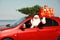 Authentic Santa Claus with presents and fir tree on roof driving modern car