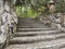 Authentic staircase in the jungle. Steps leading to a tropical park. Masonry stone. Old jug among the trees.Close-up.