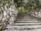 Authentic staircase in the jungle. Steps leading to a tropical park. Masonry and stone walls. Old jug among the trees.