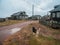 Authentic village on the shore of the Kandalaksha Bay of the White sea. The yard dog is on guard. Kola peninsula. Russia