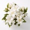 Authentic White Magnolia Flowers: Bold And Symmetrical Bloomcore Arrangement