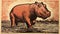 Authentic Woodcut Style Print Of A Brown Hippo In Water