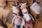 Author& x27;s original self-made doll bull and cow with a beautiful painted face