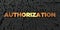 Authorization - Gold text on black background - 3D rendered royalty free stock picture
