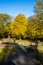 Autmn Trees in Botanic Gardens, Southport, UK.