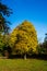 Autmn Trees in Botanic Gardens, Southport, UK.