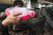 An auto mechanic pours antifreeze into the cooling system of a car engine