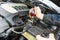 Auto mechanic tests car antifreeze liquid