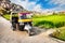 Auto rickshaw near rice plantation