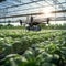 Automated crop protection system, Futuristic farm with sensor-equipped devices and machinery