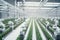 Automated factory-like white farm with plants fields. Agriculture modern robotic and autonomous car working in smart farm.
