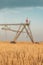 Automated farming irrigation machinery with sprinklers in barley field