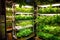 automated hydroponic system controlling nutrient levels