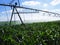 Automated Irrigation System for Farmers