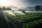 automated irrigation system watering crops