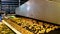 Automated production line of salt cracker cookies. Cookies on conveyor belt