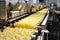 Automated Robotic popcorn Production Line. Industrial food production plant indoors