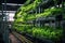 automated watering system in action at an urban vertical farm