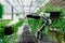 Automatic agricultural technology robot arm watering plants