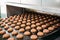 Automatic bakery production line with sweet cookies on conveyor belt equipment machinery in confectionary factory workshop