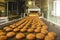 Automatic bakery production line with sweet cookies on conveyor belt equipment machinery in confectionary factory workshop