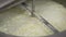 Automatic creamery machine is producing cheese, rotating knife is mixing white mass after fermentation milk