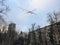 automatic drone piloted remotely by radio control patrols the city's residential neighborhoods