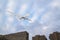 automatic drone piloted remotely by radio control patrols the city's residential neighborhoods in search of violators of the