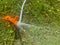 Automatic green grass sprinkler, water sprayer for watering lawn plants